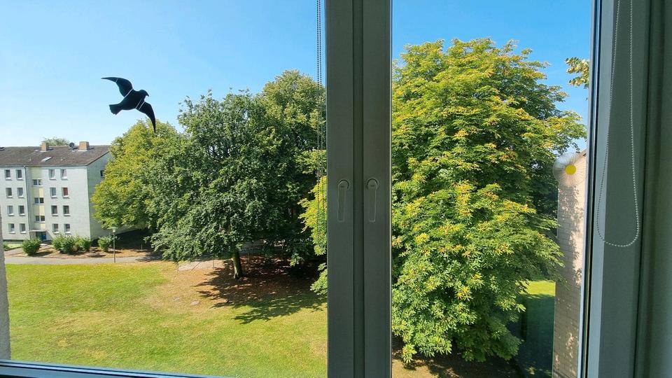 Etagenwohnung Wolfsburg Alt-Wolfsburg - 3 Zimmer, 65 m&sup2;, 175.000&euro; | Angebot:26025550