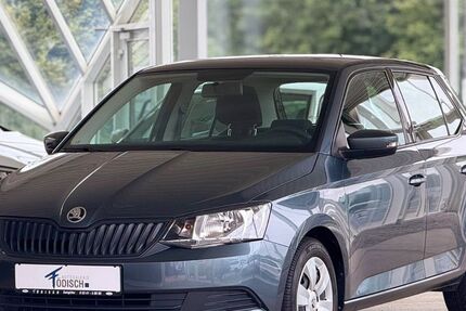 Skoda Fabia 81.808 km 7.790 &euro; Salzgitter 38228