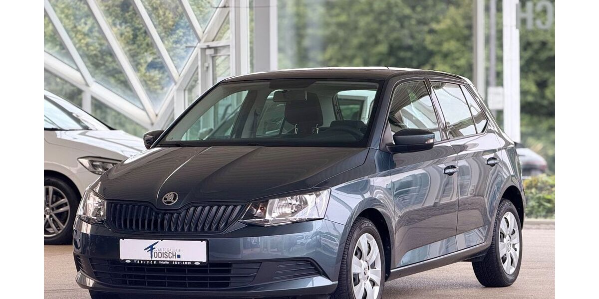 Skoda Fabia 81.808 km 7.790 &euro; Salzgitter 38228