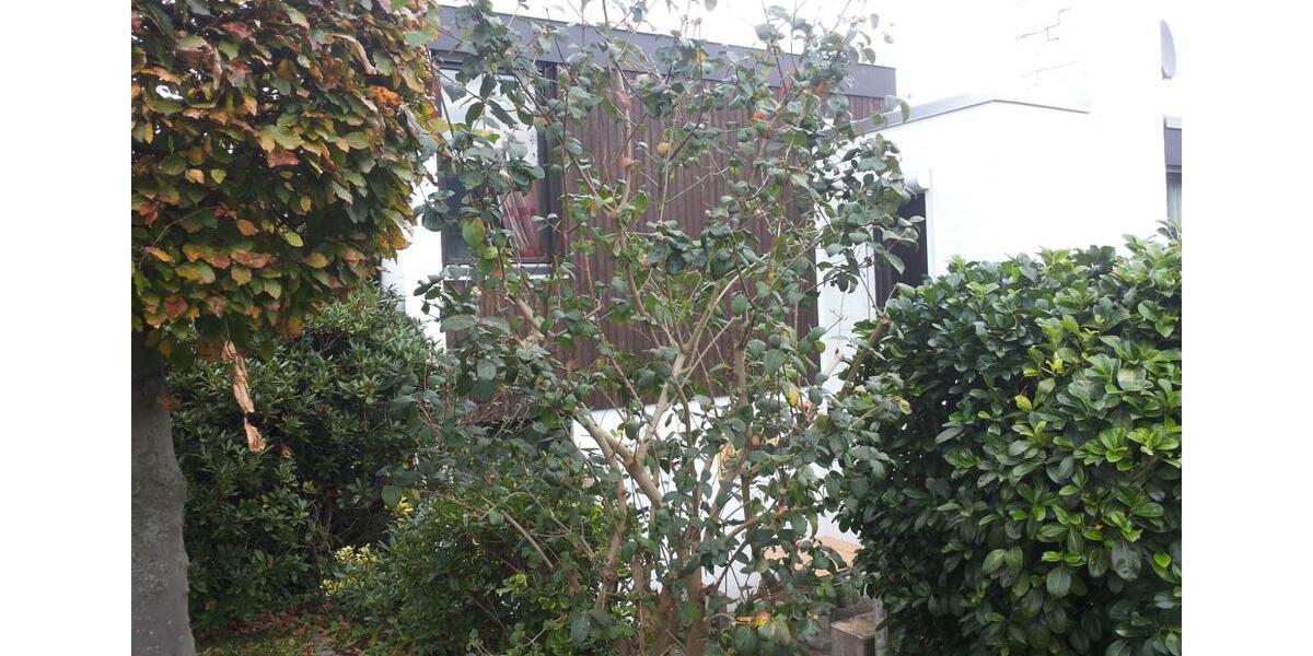 Reihenhaus Salzgitter Ortschaft Ost - 5 Zimmer, 144 m&sup2;, 1.300&euro; | Angebot:27607079