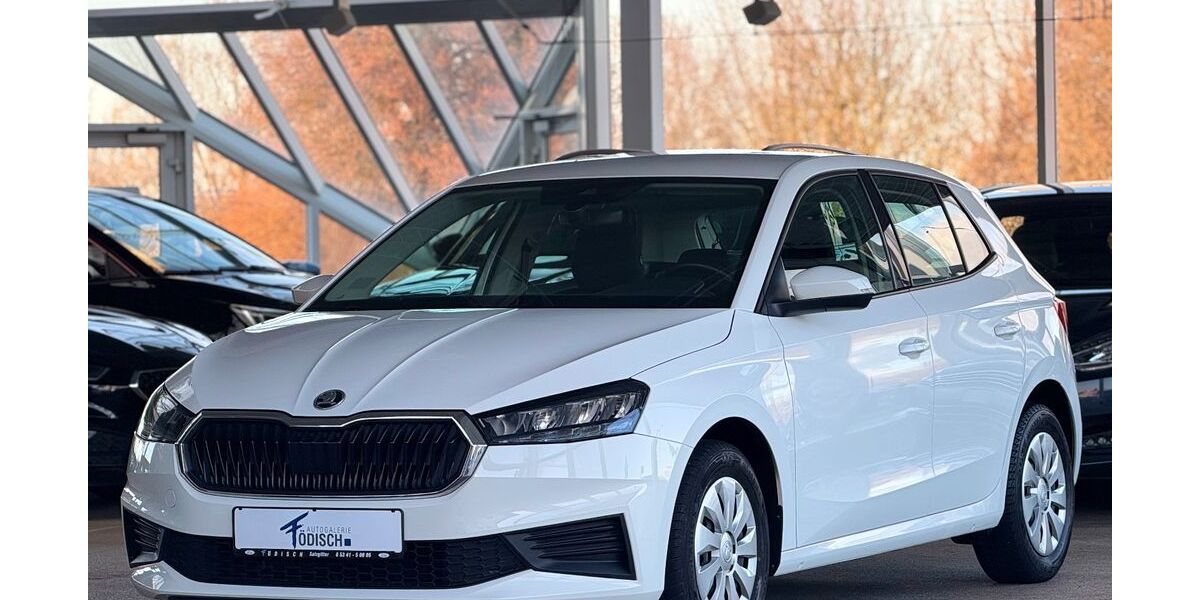 Skoda Fabia 64.449 km 12.970 &euro; Salzgitter 38228