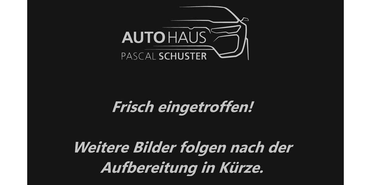 Cupra Born 94.282 km 19.490 &euro; Vechelde 38159