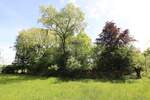 Mehrfamilienhaus, Wohnhaus Wasbüttel - 7 Zimmer, 269 m&sup2;, 550.000&euro; | Angebot:25662752