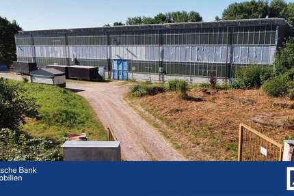 Halle in Mittweida 1.500 € 500 m²