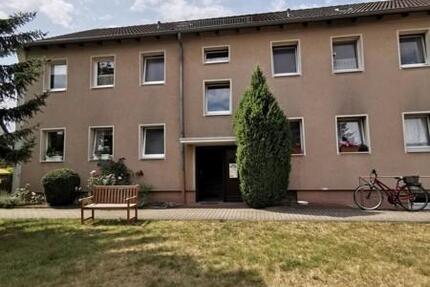 Wohnung Braunschweig Wabe-Schunter-Beberbach - 3 Zimmer, 63 m&sup2;, 630&euro; | Angebot:26344717