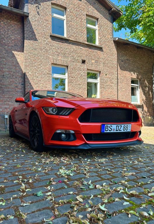 Mustang