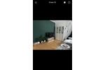 Etagenwohnung Braunschweig Südstadt- Rautheim- Mascherode - 2.5 Zimmer, 67 m&sup2;, 888&euro; | Angebot:26576100