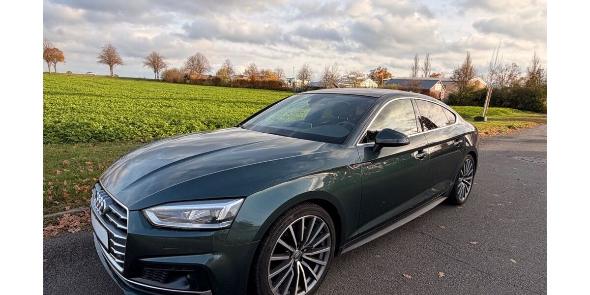 Audi A5 115.000 km 26.950 &euro; Neustadt 01844