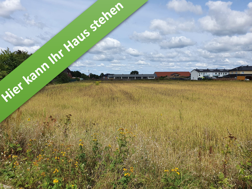 Haus zum Kaufen in Meinersen 319.690 € 119 m²