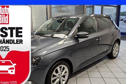 Skoda Fabia 49.579 km 13.900 &euro; Wolfsburg-Heiligendorf 38444