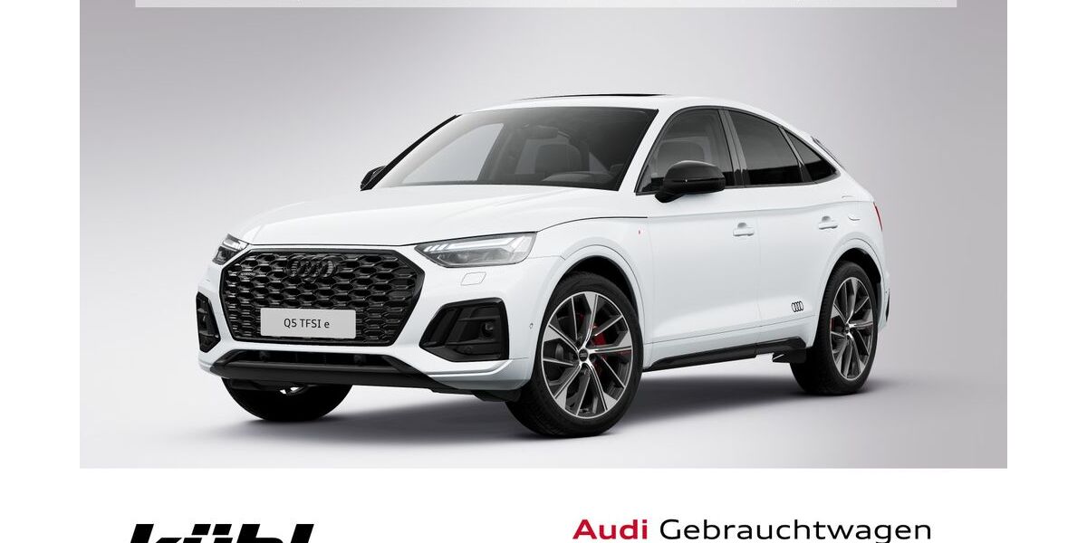 Audi Q5 113.710 km 35.480 &euro; Gifhorn 38518