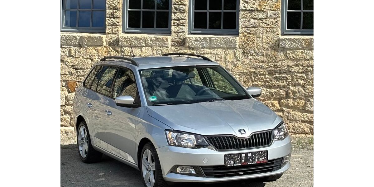 Skoda Fabia 118.650 km 6.980 &euro; Wolfsburg 38446