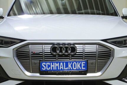 Audi e-tron 32.700 km 35.950 € Braunschweig 38112