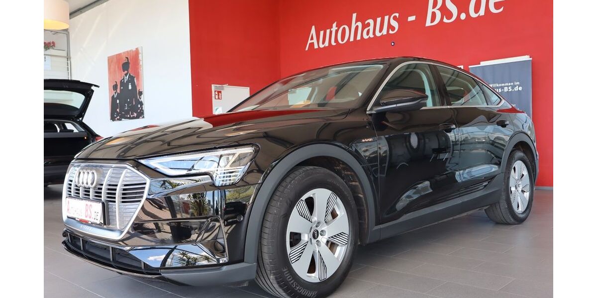 Audi e-tron 41.711 km 26.749 &euro; Braunschweig 38116