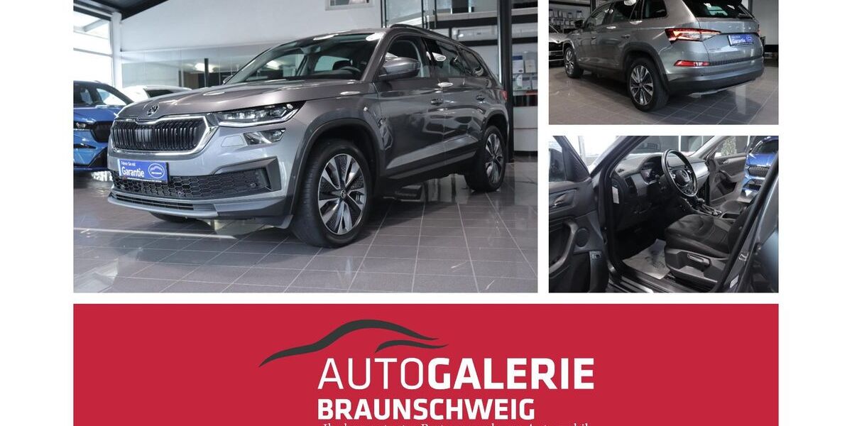 Skoda Kodiaq 100.000 km 29.900 &euro; Braunschweig 38116