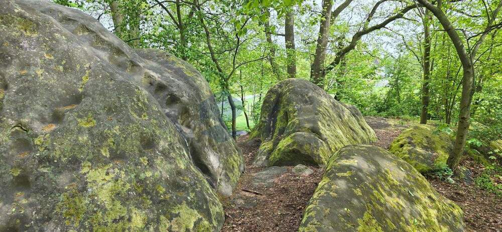 Etagenwohnung Wolfsburg Hohenstein - 3 Zimmer, 57 m&sup2;, 430&euro; | Angebot:25774528