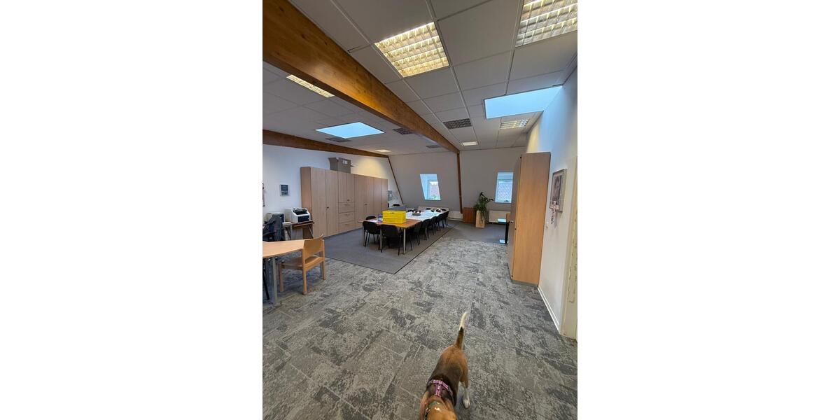 Gewerbeobjekt Peine - 1.190&euro; | Angebot:24514244