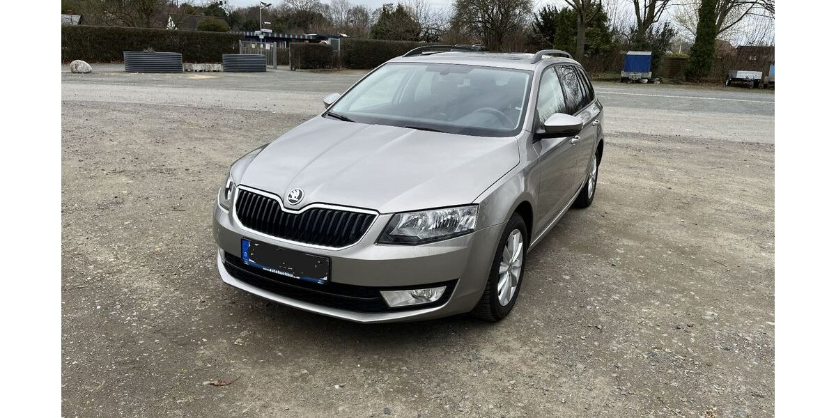 Skoda Octavia 175.000 km 7.900 &euro; Salzgitter 38226