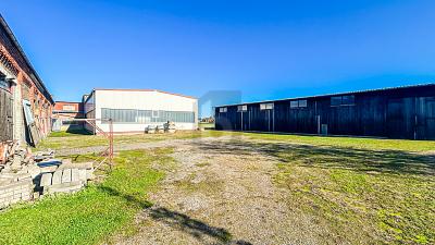 HALLENKOMPLEX MIT FREIFLÄCHEN UND WIESE - Gewerbeobjekt Ilsede | Angebot:26421090