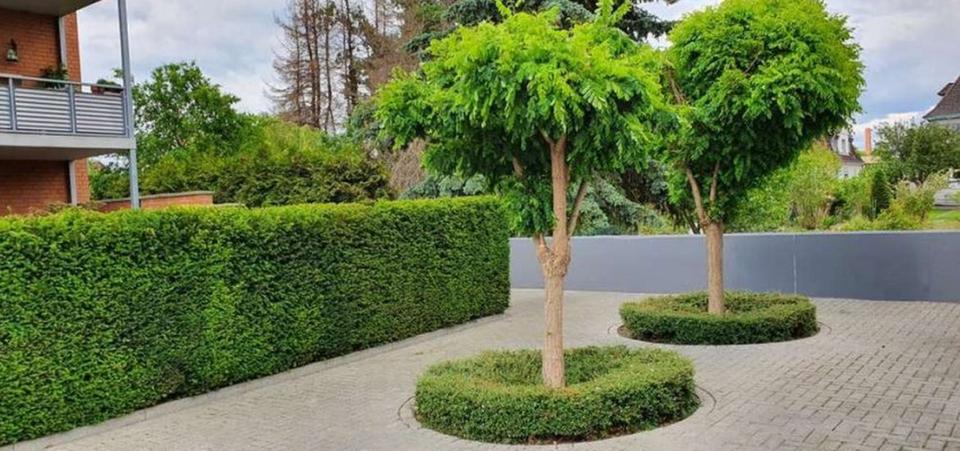 Etagenwohnung Braunschweig Wabe-Schunter-Beberbach - 3.5 Zimmer, 103 m&sup2;, 950&euro; | Angebot:24801229