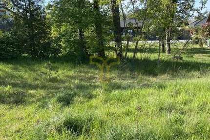 Grundstück Stüde/Sassenburg Sassenburg - 34.850&euro; | Angebot:25420968