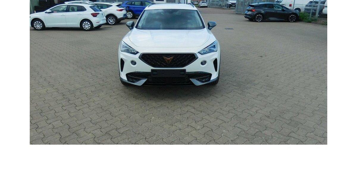 Cupra Formentor 1.5 TSI BMT Klima LED Alu Navi 27.400 km 23.990 &euro; Vordorf 38533