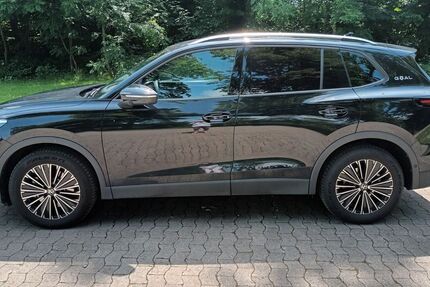 VW Tiguan 15.000 km 35.800 &euro; Lehre 38165