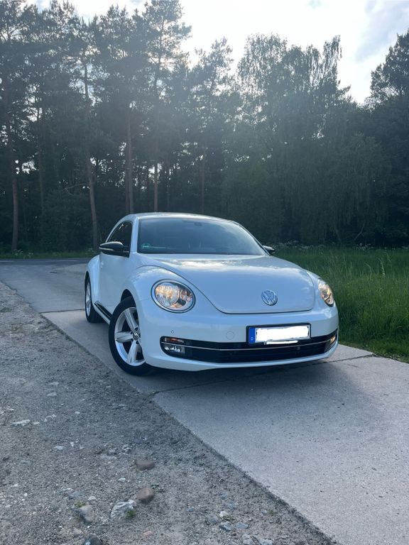 Beetle