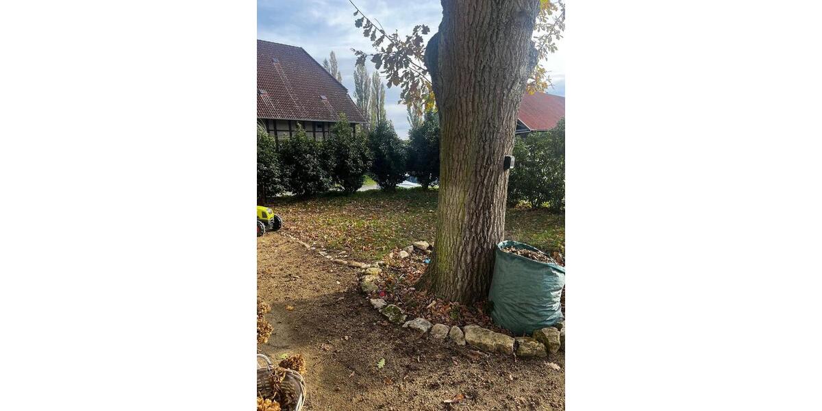 Einfamilienhaus Lehre - 5 Zimmer, 190 m&sup2;, 1.820&euro; | Angebot:24564553