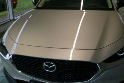 Mazda CX-30 20.000 km 28.780 € Salzgitter 38228