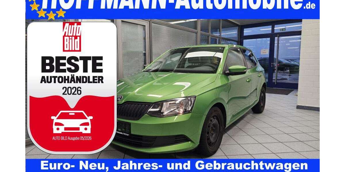 Skoda Fabia 121.853 km 7.700 &euro; Wolfsburg Heiligendorf 38444