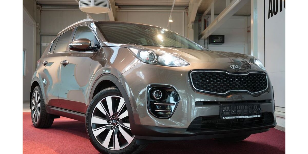 Kia Sportage 123.342 km 16.890 &euro; Peine 31228