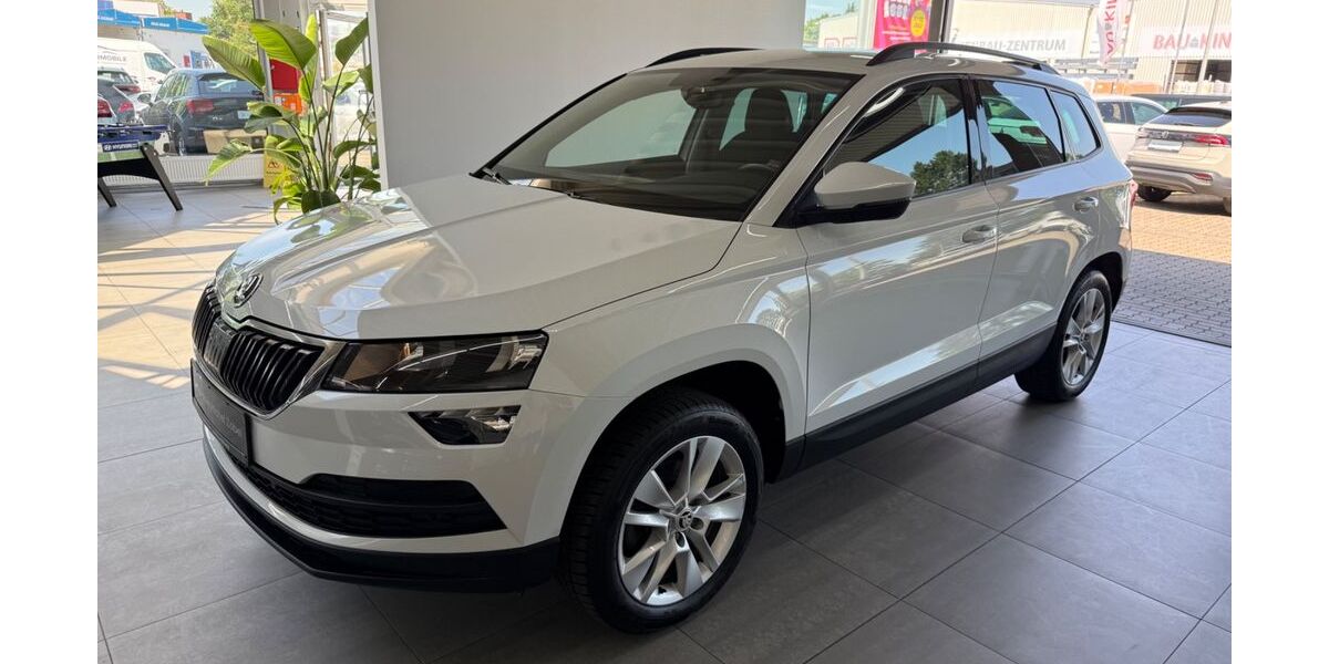Skoda Karoq 120.000 km 15.990 &euro; Braunschweig 38116