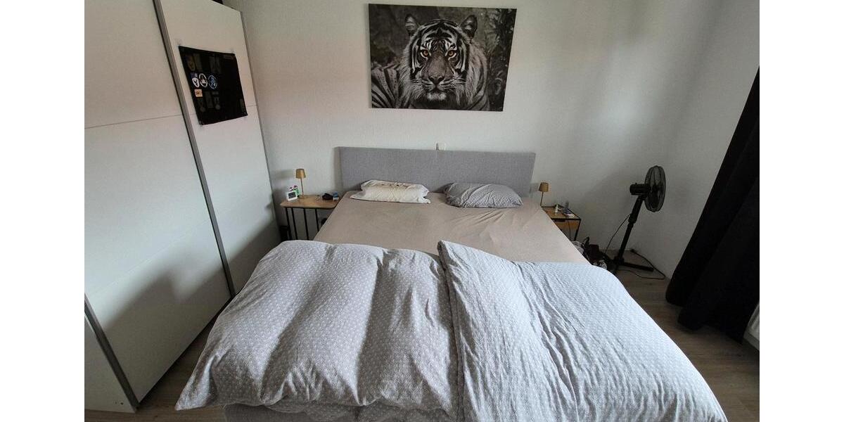 Dachgeschoßwohnung Wolfenbüttel Adersheim - 3 Zimmer, 65 m&sup2;, 650&euro; | Angebot:27547656