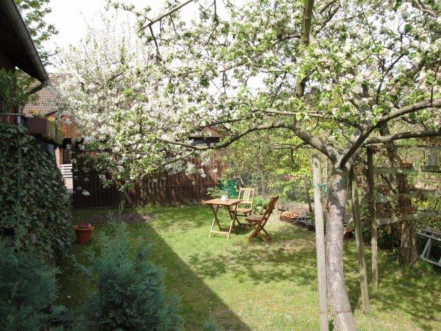 Dachgeschoßwohnung Braunschweig Südstadt- Rautheim- Mascherode - 3 Zimmer, 74 m&sup2;, 600&euro; | Angebot:26598469