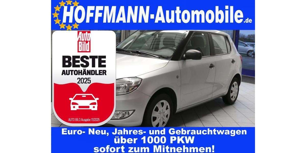 Skoda Fabia 174.600 km 2.700 &euro; Wolfsburg Heiligendorf 38444
