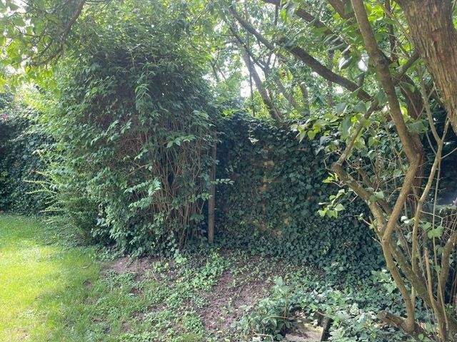 Grundstück Wolfenbüttel Stadtgebiet - 395.000&euro; | Angebot:25776932