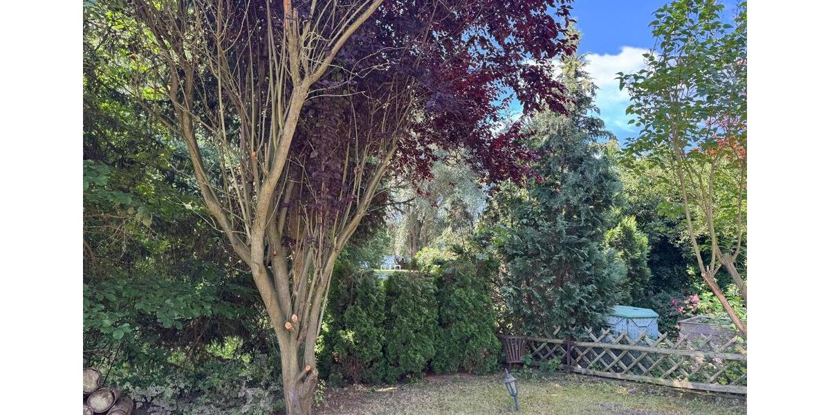 Einfamilienhaus Braunschweig Lehndorf-Watenbüttel - 5 Zimmer, 150 m&sup2;, 300.000&euro; | Angebot:27033477