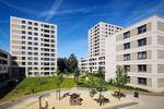 Etagenwohnung Wolfsburg Detmerode - 1 Zimmer, 42 m&sup2;, 412&euro; | Angebot:26489541