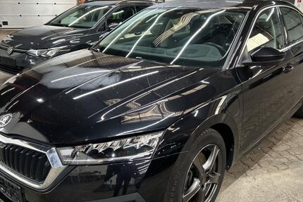 Skoda Octavia 98.002 km 17.990 &euro; Peine 31226