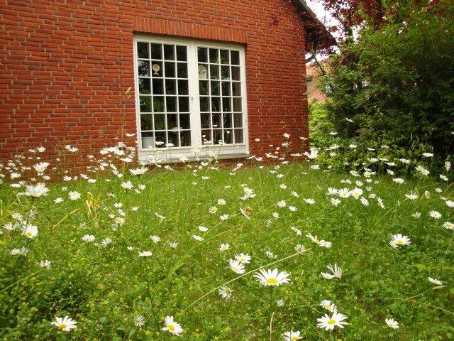 Dachgeschoßwohnung Braunschweig Südstadt- Rautheim- Mascherode - 3 Zimmer, 74 m&sup2;, 600&euro; | Angebot:26598469