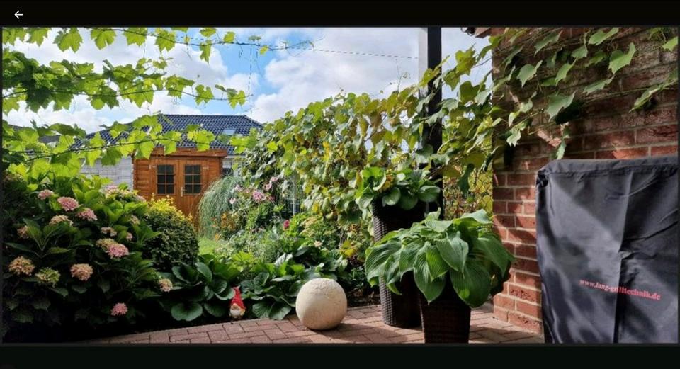 Reihenhaus Sassenburg - 4 Zimmer, 123 m&sup2;, 349.000&euro; | Angebot:13749744