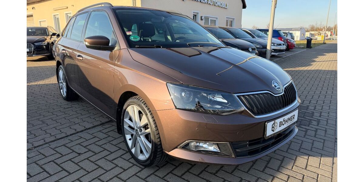 Skoda Fabia 95.000 km 11.490 &euro; Salzgitter 38229