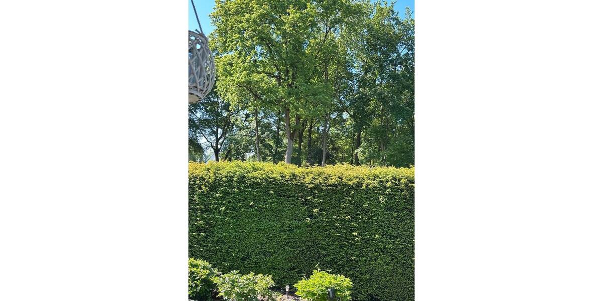 Etagenwohnung Sassenburg - 2 Zimmer, 60 m&sup2;, 600&euro; | Angebot:26689016