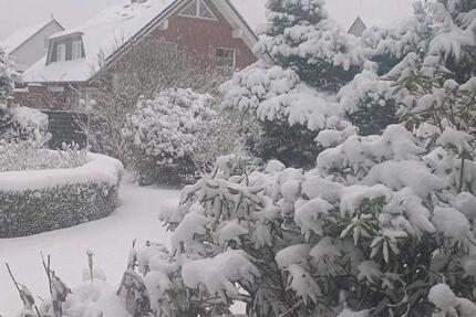 Wohnung Braunschweig Timmerlah-Geitelde-Stiddien - 3 Zimmer, 108 m&sup2;, 1.000&euro; | Angebot:24441763