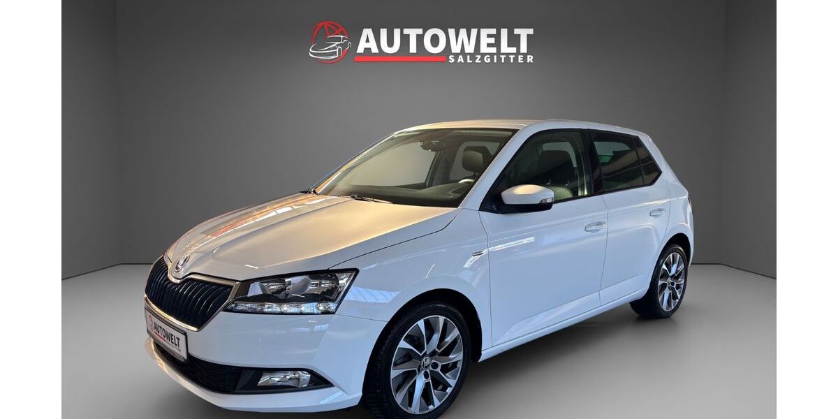 Skoda Fabia 59.000 km 15.500 &euro; Salzgitter 38229