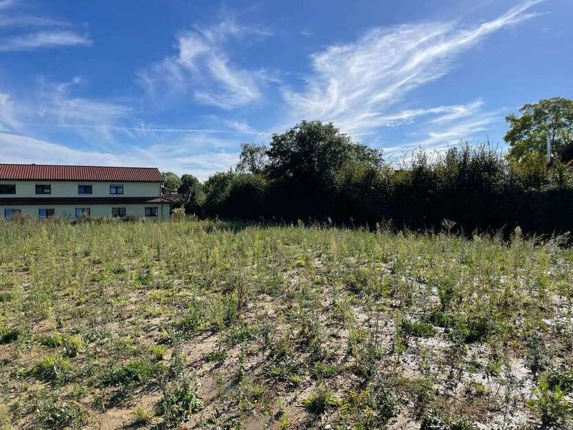 Grundstück zu verkaufen in Ehmen 221.000 € 650 m²