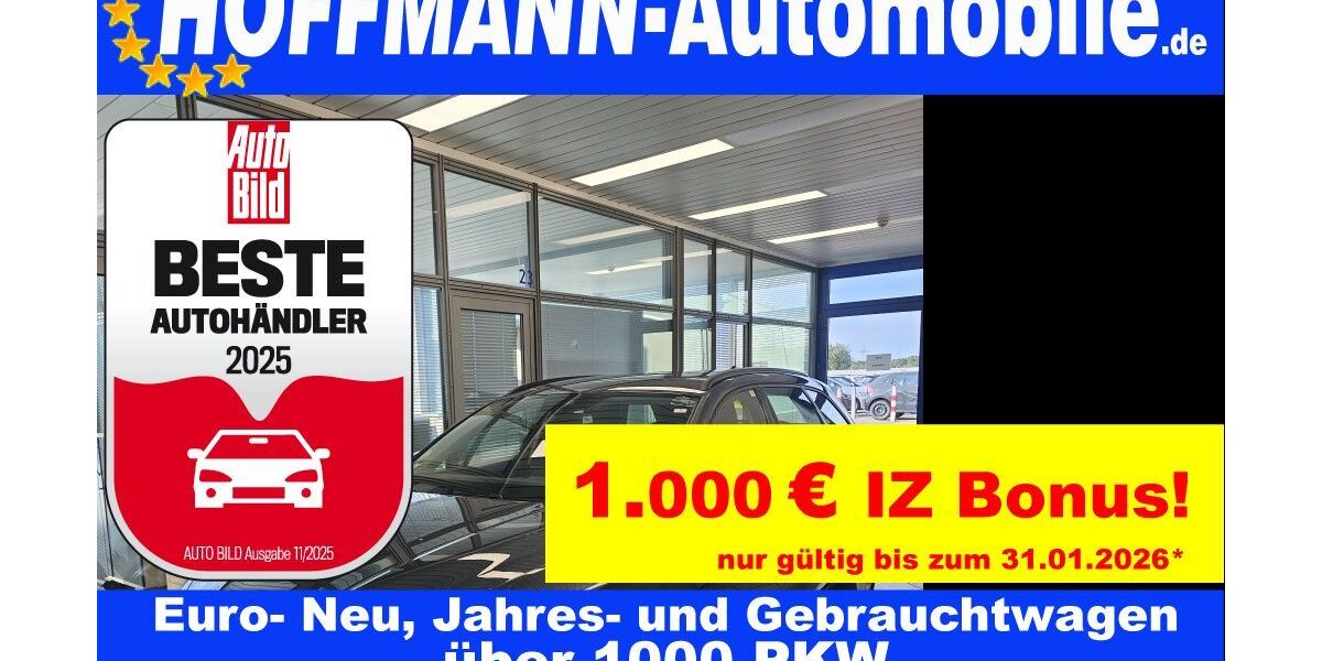 Seat Leon 114.084 km 17.900 &euro; Wolfsburg-Heiligendorf 38444