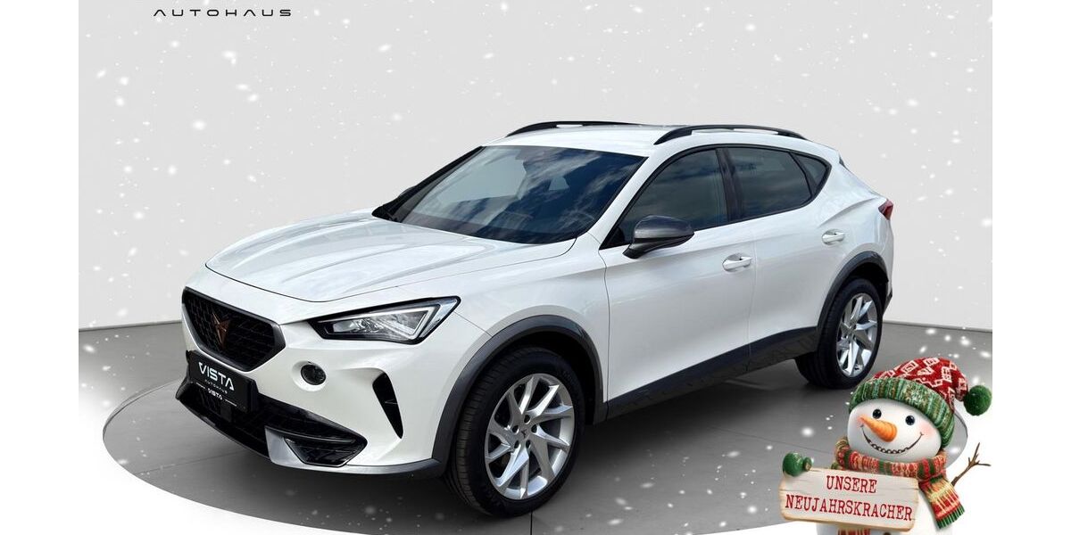 Cupra Formentor 129.921 km 22.900 &euro; Braunschweig 38122