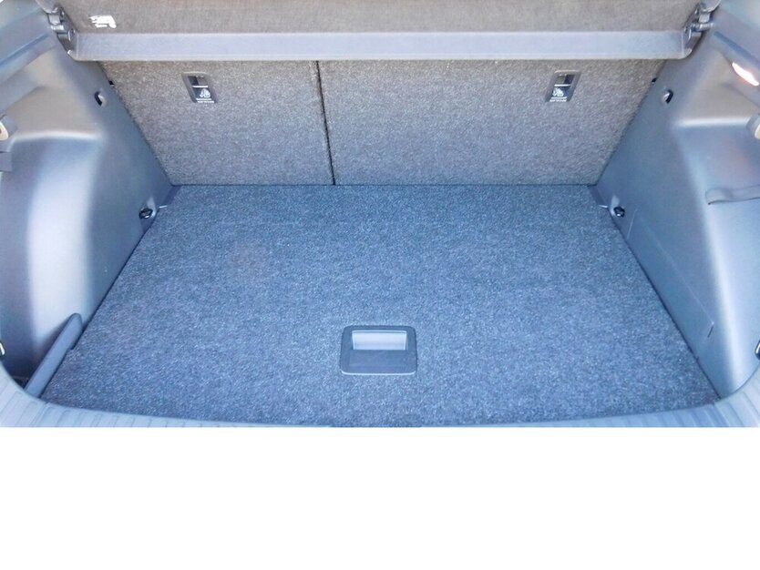 Skoda Fabia 1.0 Ambion TSI BMT 4TRG Klima Navi 14.100 km 17.390 € Vordorf 38533